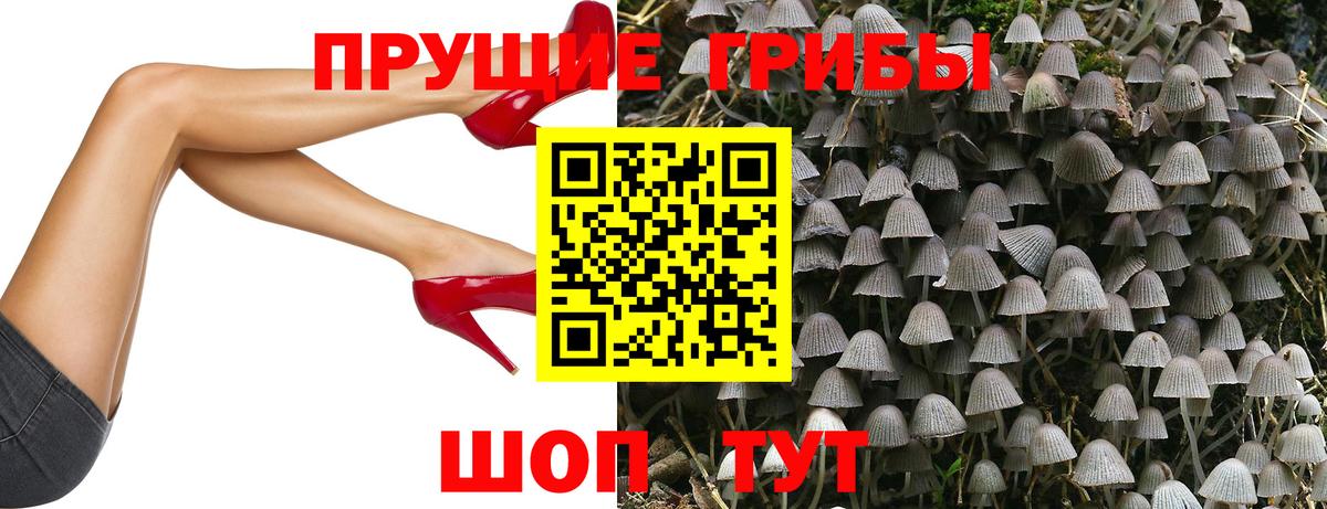 Заинск  Псилоцибиновые грибы мухоморы  Вход с VPN 