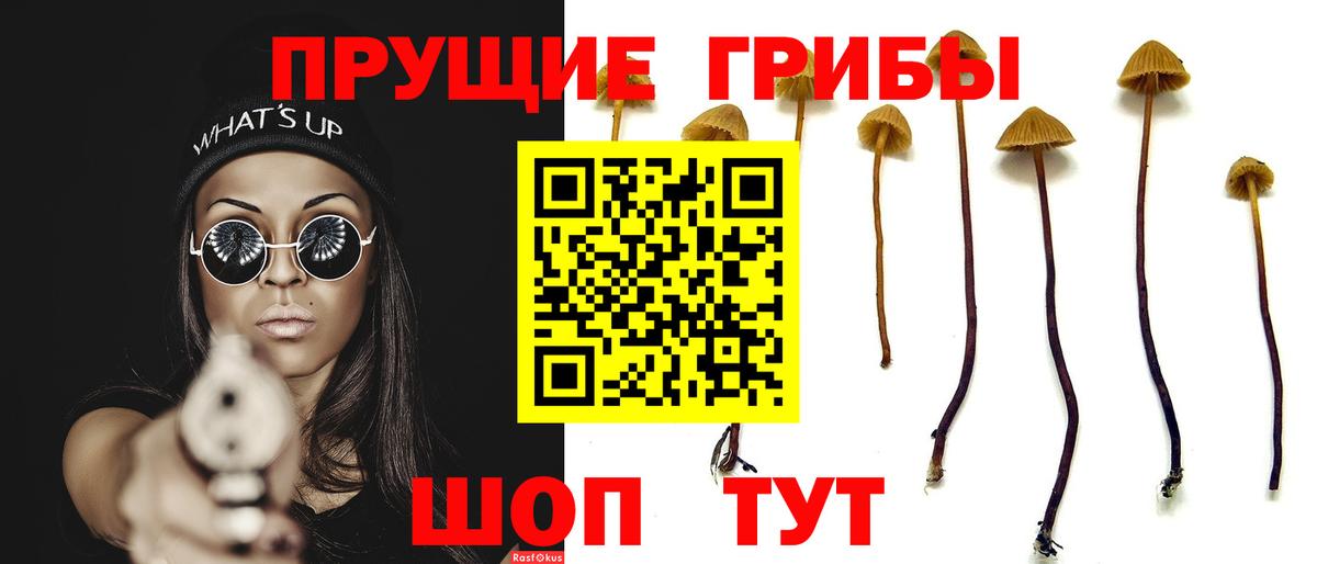 Псилоцибиновые грибы ЛСД Заинск